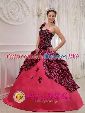 Stockton Heath Cheshire One Shoulder Hand Zebra Made Flowers Sweet 16 Dress Coral Red For Gaduation