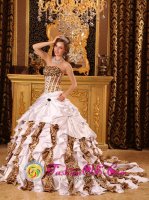 Taffeta and Leopard Ruffles Beaded Decorate Bust Droped Waist Ball Gown Brush Train For Puderbach Germany Quinceanera Dress