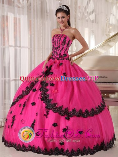 Perfect Organza and Taffeta Appliques Decorate Bodice Hot Pink Quinceanera Dress For Hekpoort South Africa Strapless Ball Gown - Click Image to Close