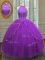 Luxury Ball Gowns Quince Ball Gowns Purple High-neck Tulle Sleeveless Floor Length Lace Up