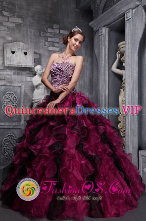 Mesquite TX Leopord and Deaded Decorate Bodice Ruffles Wild Fushsia Christmas Party Dress Custom Made