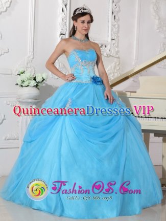 Azle TX Fashionable Aqua Blue Quinceanera Dress With Strapless Neckline Flowers Decorate On Organza