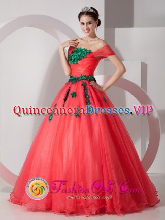 Pretty One Shoulder Organza Quinceanera Dress With Hand Made Flowers Custom Made In Redmond Oregon/OR