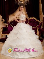 Uppsala Sweden Champagne Sweetheart Appliques Decorate Bodice Quinceanera Dresses With Pick-ups(SKU QDZY162y-1BIZ)