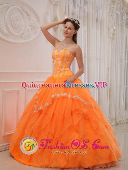 Pewaukee Wisconsin/WI Luxurious Quinceanera Dress With Sweetheart Organza Appliques Bodice And Ruffles Ball Gown - Click Image to Close