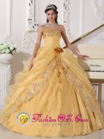 Boerne TX Embroidery with Beading Decorate Organza Popular Gold Quinceanera Dress with hand made flower