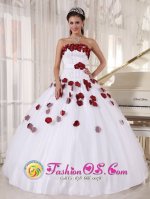 Massillon Ohio/OH Pretty White and Wine Red Quinceanera Dress For Strapless Tulle Beading and Hand Made Flowers Decorate Ball Gown