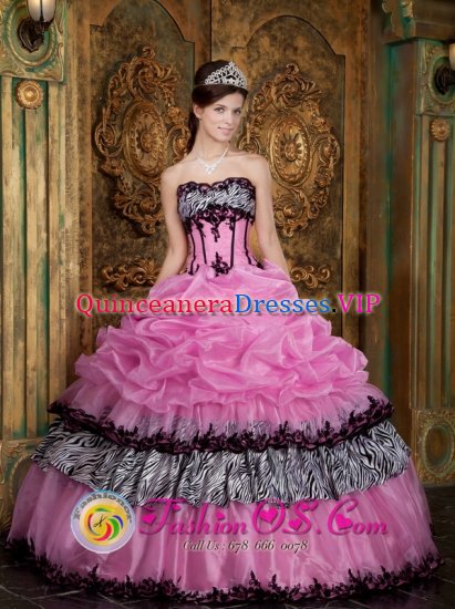 Machias Maine/ME Elegant Zebra and Organza Picks-Up Rose Pink Quinceanera Dress Wear For Sweet 16 - Click Image to Close
