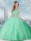Most Popular Sleeveless Beading Clasp Handle 15 Quinceanera Dress