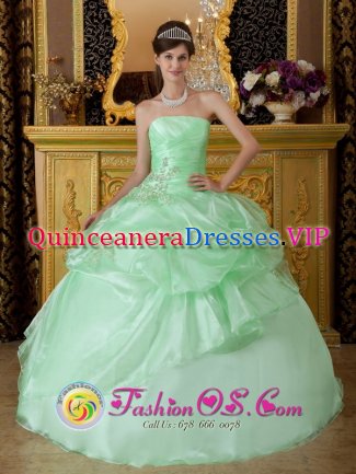 Donaghadee Down Apple Green Sweet 16 Quinseanera Dress With Strapless Beads And Ruffles Decorate On Organza