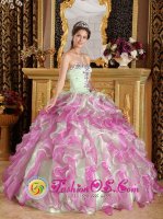 Latest Fuchsia and Apple Green Organza With Appliques Floor-length Hervey Bay QLD Quinceanera Dress Sweetheart Ball Gown
