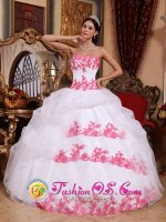 Marshalls Creek Pennsylvania/PA Wholesale Ball Gown Sweet Quinceanera Dress With Appliques Organza(SKU QDZY684 y-6BIZ)