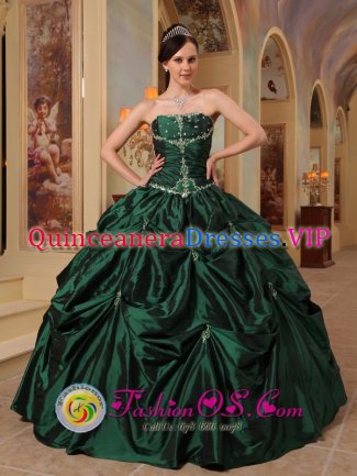 La Teste-de-Buch France Custom Made Latest Hunter strapless Green Quinceanera Dress