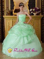 Lombard Illinois/IL Apple Green Sweet 16 Quinseanera Dress With Strapless Beads And Ruffles Decorate On Organza