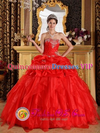 Saint Maries Idaho/ID Appliques with Beading Cheap Red Sweetheart Strapless Quinceanera Dress Organza Ball Gown