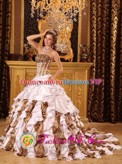 Taffeta and Leopard Ruffles Beaded Decorate Bust Droped Waist Ball Gown Brush Train For Ballito South Africa Quinceanera Dress - Click Image to Close