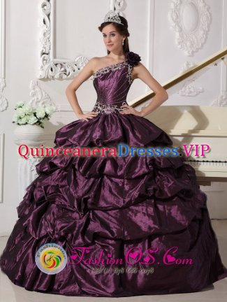 Argyle Texas/TX Asymmetrical One Shoulder Neckline Fashionable Dark Purple Quinceanera Dress With Appliques and Pick ups Decorate