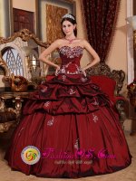 Fabulous Sweetheart Wine Red Pick-ups and Appliques Decorate Bodice For Quinceanera Dress In Ann Arbor Michigan/MI