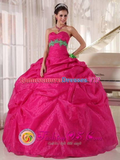 Port Ludlow Washington/WA Wholesale Hot Pink Quinceanera Dress With Sweetheart Organza Appliques hand flower decorate Pick-ups - Click Image to Close