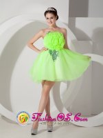 Paia Hawaii/HI Spring Green A-line Strapless Mini-length Organza Hand Made Flowers Quinceanera Dama Dress