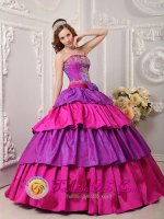 Golden Colorado/CO Multi-color Ball Gown Strapless Floor-length Taffeta Appliques with Bow Band Cake Quinceanera Dress