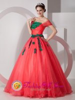 Tiffany & Co Pretty One Shoulder Organza Quinceanera Dress With Hand Made Flowers Custom Made in Chama NM[MLXNHY01y-1BIZ]