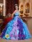Alhaurin el Grande Spain Beading and Appliques Decorate Multi-color Stylish Christmas Party Dress With Sweetheart Neckline