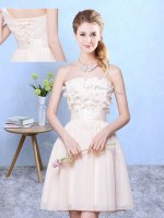 Sexy Knee Length Lace Up Dama Dress for Quinceanera Champagne and In with Appliques