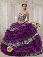 Paramount CA Zebra and Purple Organza With shiny Beading Affordable Quinceanera Dress Sweetheart Ball Gown