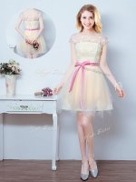 Scoop Short Sleeves Tulle Dama Dress Lace and Appliques and Ruffles and Bowknot Lace Up
