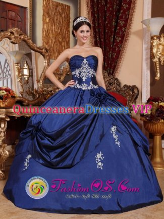 Cistomize Navy Blue Sweetheart Appliques Green Valley AZ Sweet Ball Gown 16 Dress With Hand Made Flowers