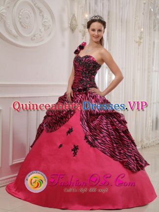 Cardenas Cuba One Shoulder Hand Zebra Made Flowers Sweet 16 Dress Coral Red For Gaduation