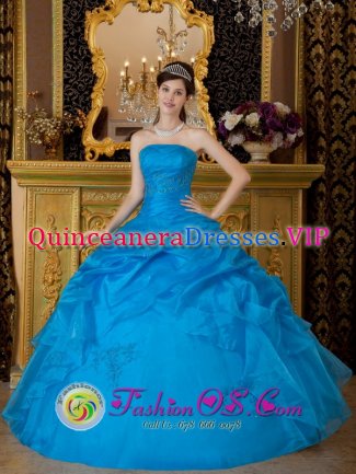 Corozal Colombia Simple Sky Blue Strapless Appliques Organza Quinceanera Dress