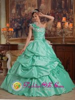 Austin TX Apple Green One Shoulder Pick-ups Elegant Quinceanera Dress With Hand Flowers Taffeta