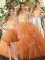 Sleeveless Lace Up Floor Length Ruffles Quinceanera Gown