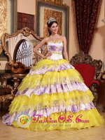Chico Claremont California Sweetheart Beading and Ruffles Wholesale Multi-color Quinceanera Gowns Made In Organza