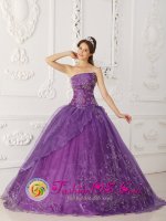 Etela-Suomen LAani Finland Elegent Lavender A-line Embroidery Quinceanera Dress With Strapless Satin and Organza Layers In Show Low