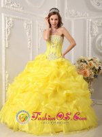 Yellow Beaded Appliques Decorate Bodice Hand Made Flower Pick-ups Ball Gown Quinceanera Dress For Sweet 16 In Augusta Kansas/KS(SKU QDZY054-GBIZ)