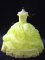 Sophisticated Ball Gowns 15 Quinceanera Dress Yellow Green Off The Shoulder Organza Sleeveless Floor Length Lace Up