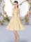 Customized Champagne Lace Up V-neck Hand Made Flower Dama Dress for Quinceanera Chiffon Sleeveless