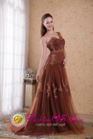 Palmetto FL Tulle Quinceanera Dama Dress Brown Column / Sheath One Shoulder Brush /Sweep Appliques and Beads Decorate