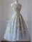 Trendy Tulle Sleeveless Tea Length Dama Dress and Lace