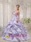 Tucson Arizona/AZ Sweet Lilac Pick-ups and Appliques Sweet 16 Dress With Strapless Taffeta In Spring