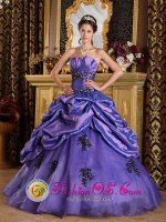 Kenosha Wisconsin/WI Princess Purple Strapless Quinceanera Dress With Appliques and Pick- ups(SKU QDZY201-ABIZ)