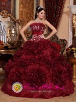 Appliques Burgundy Strapless Organza Popular Quinceanera Dresses in Jackson Hole Wyoming/WY