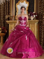 Brig Switzerland Floor-length Appliques Brand New Fuchsia For Quinceanera Dress Strapless Organza and Satin Floor-length Ball Gown(SKU QDZY310y-7BIZ)