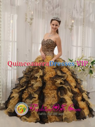 Athis-Mons France Unique Multi-color Custom Made Zebra Ruffles Sweetheart Quinceaners Dress in Spring