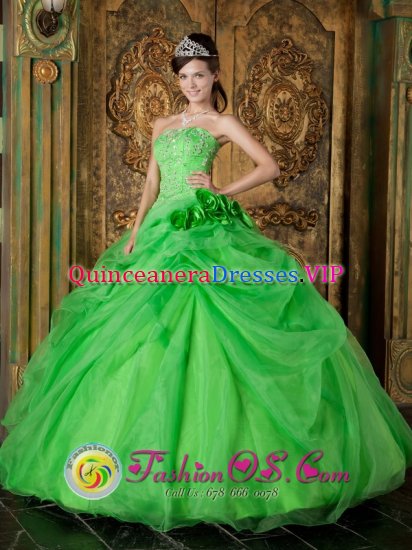 Englewood New Jersey/ NJ Spring Green Hand Made Flowers Appliques Decorate Fabulous Quinceanera Dress With Floor-length Organza - Click Image to Close