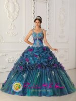 Teal Appliques and Hand Made Flowers Pick-ups Beaded decorate Straps For Karlsruhe Germany Quinceanera Dress