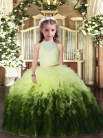 Multi-color Ball Gowns Tulle High-neck Sleeveless Ruffles Floor Length Backless Little Girls Pageant Dress